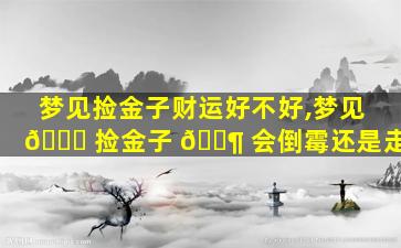 梦见捡金子财运好不好,梦见 🍀 捡金子 🐶 会倒霉还是走运